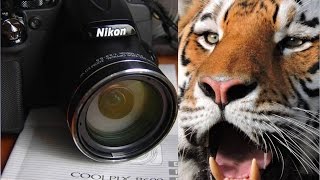 Nikon Coolpix P600 review Обзор  тест фотки и quotповертеть в рукахquot [upl. by Kurt]