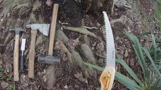 Girdling Root Removal  RED MAPLE Tree [upl. by Shaun]