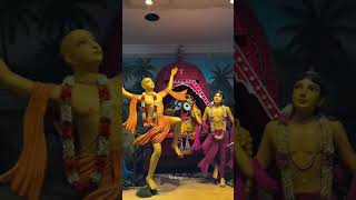 krishna krishnastatus viral shorts krishnabhajan krishnavani trendingshorts trending short [upl. by Yerocaj]