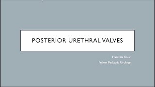 Posterior Urethral Valve [upl. by Vernen301]