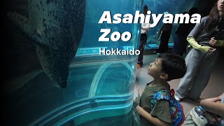 We visited Asahiyama Zoo [upl. by Locin]