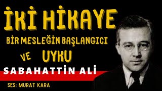 quotUykuquot quotBir Mesleğin Başlangıcıquot Sabahattin Ali Hikayeleri Sesli Kitap [upl. by Eillek]