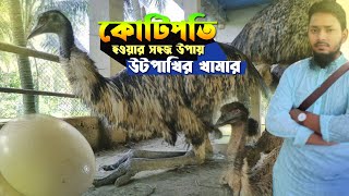 উটপাখি এবং ইমু পাখির কোটি টাকার খামার ।। Emu amp Ostrich Bird in Khulna।। Our Destination [upl. by Angi]