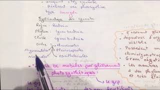 Systématique  3 em chapitre 14  L3 microbiologie 📚 [upl. by Lytsyrk]