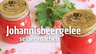 Johannisbeergelee einfach selber machen  Marmelade Rezept [upl. by Lerrehs]