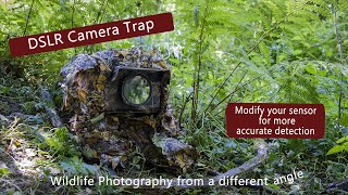 DSLR Camera trap  Modify your sensor for greater accuracy [upl. by Halfon]