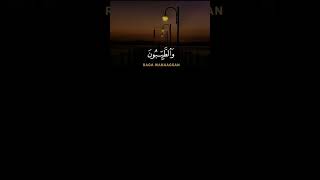 Tafsir Surah Al Nur ayat 26  Yusuf Al Aidroos quran islamicstatus islamicvideo surahannur [upl. by Ermanno545]