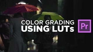 Color Grading  LUTs [upl. by Daniala]