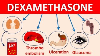 Dexamethasone tablets decadron  Mechanism side effects amp precautions [upl. by Shum468]