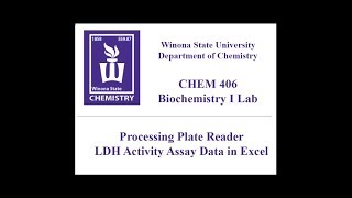 CHEM 406  Processing LDH Activity Assay Data with Excel [upl. by Annohs]