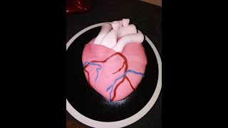 Gateau coeur et stethoscope [upl. by Viridi]