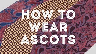 How To Wear An Ascot Cravat amp Plastron The Elegant Way  Gentlemans Gazette [upl. by Becca173]