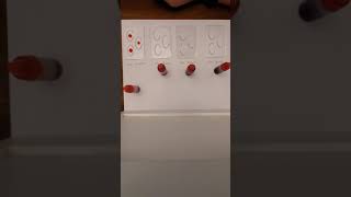 Simulated Blood Typing [upl. by Ainoda]