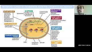 Resistência Bacteriana e Antibiograma [upl. by Papke]