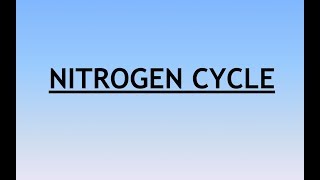 Environment and Ecology Lecture 32  Nitrogen Cycle [upl. by Zillah147]