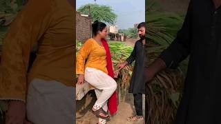 czn ki bat suno pakistan funny youtubeshorts [upl. by Casar]