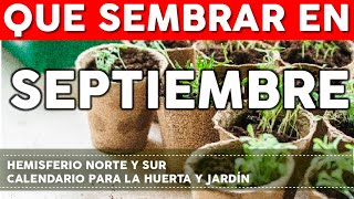 Calendario de Siembra 2023 Que sembrar en SEPTIEMBRE en el Huerto de Verano y de Invierno [upl. by Ancel]