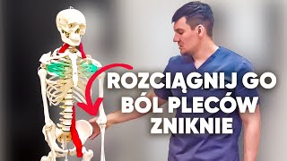 Rozciągnij ten mięsień i zapomnij o bólu pleców Nie czekaj zrób to teraz [upl. by Reivax]