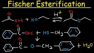 Fischer Esterification Reaction Mechanism  Carboxylic Acid Derivatives [upl. by Ritter]