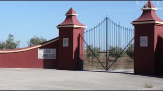 Una visita a Los Carrizos la espectacular finca de Mario Conde [upl. by Lahcim]