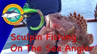 Sculpin Fishing In The Sea Angler  Sport Fishing With Dan Hernandez [upl. by Retsub544]