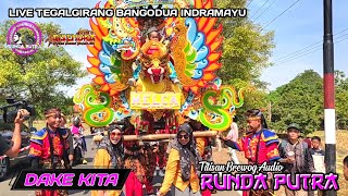 RUNDA PUTRA ‼️ TITISAN BREWOG AUDIO  DAKE KITA  LIVE SINGA DEPOK TEGALGIRANG BANGODUA INDRAMAYU [upl. by Paige418]