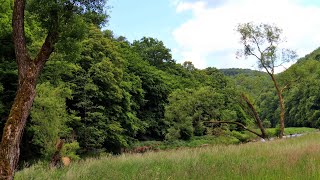 Thayatal National Park  Austria [upl. by Hepsibah453]