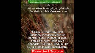 Коран Сура Аль Анам  6161  Чтение Корана с русским переводом Quran Translation quranrecitation [upl. by Ennis]