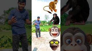 बंदर मामा आए पेंट पजामा ले देखो कुत्ता आया फिर बिल्ली आई monkey cat dog funny story VFX magic video🧖 [upl. by Esej537]