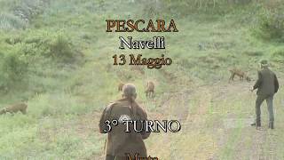 SEGUGI ITALIANI SU LEPRE Ep 29  Trofeo Gildo Fioravanti 2018  CAC su Lepre  Navelli PE [upl. by Hut]