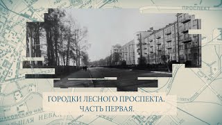 Малые родины большого Петербурга Городки Лесного проспекта Часть первая [upl. by Okoyik]