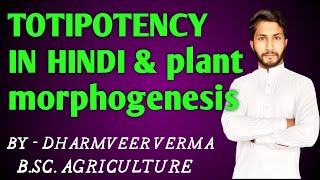 💡TOTIPOTENCY IN HINDI plant morphogenesis [upl. by Aicele323]