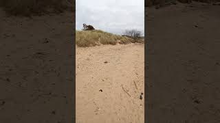 Findhorn Beach findhorn scotland beach [upl. by Sivrep]