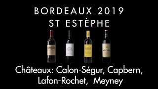 Bordeaux 2019  St Estèphe  Châteaux CalonSégur Capbern LafonRochet Meyney [upl. by Anihpesoj]