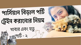 How to Potty train Persian Kittens  Persian Cat Care Bangla  বিড়ালকে পটি ট্রেইন করানোর নিয়ম [upl. by Elamef]