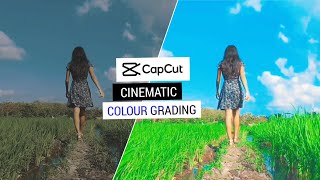 Capcut Cinematic Colour Grading  Capcut Hindi Tutorial  Video Colour In Capcut Video Editor [upl. by Hamaso]