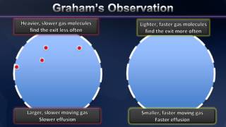 Grahams Law Animation [upl. by Elspet324]