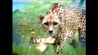 Reino Animal Promo Version 2 Telefutura 2007 [upl. by Aenil612]