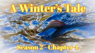 A Winters Tale  S2 Chapter 4  Float fishing rivers for Scottish Grayling  The Lady of the Stream [upl. by Odnumde214]