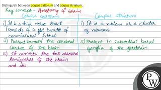 Distinguish between corpus callosum and corpus striatum [upl. by Lytle]