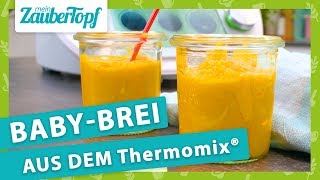 Selbstgemachter Babybrei aus dem Thermomix® So EINFACH gehts 😍 [upl. by Liahus]