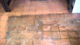 Terracotta floor tile cleaning [upl. by Goldfinch974]