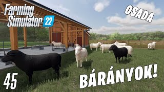 Farming Simulator 22 LIVE 45  BÁRÁNYOK Osada 4 [upl. by Engamrahc]