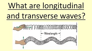 401 What are longitudinal and transverse waves [upl. by Orlanta]