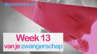 13 weken zwanger  ikenmamanl [upl. by Annahsar756]