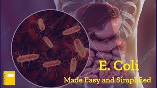 E Coli Bacteria Microbiology  Escherichia Coli  E Coli Disease [upl. by Timothee]