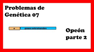 OPERÓN lac EJERCICIOS RESUELTOS 🤯😱operon lactosa y triptofano [upl. by Ttelracs]