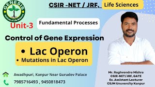 Mutations in Lac Operon  Control of Gene Expression In Prokaryotes  Lecture41 [upl. by Monah]