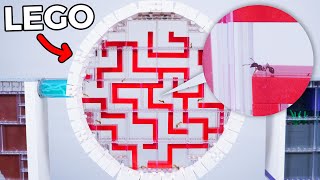 I Trapped 100 Ants in a LEGO MAZE [upl. by Leopoldine]