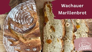 Schmackhaftes Wachauer Marillenbrot [upl. by Hagood956]